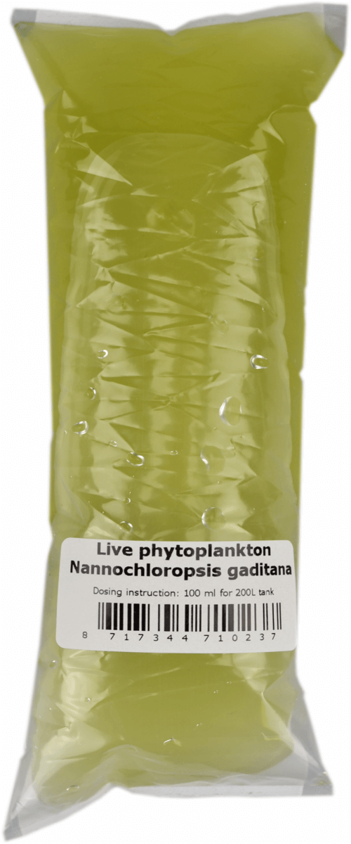 Phytoplankton Nannochloropsis gaditana 100 mL