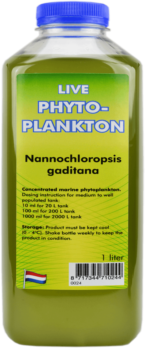 Phytoplankton Nannochloropsis gaditana 1000 mL bottle