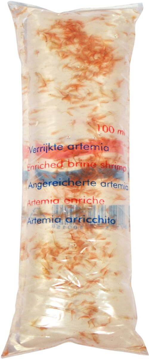 Artemia "Brine shrimp" - Enriched 100 mL