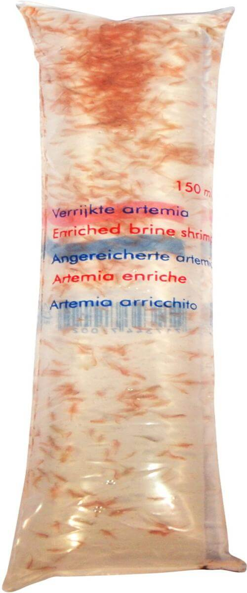 Artemia "Brine shrimp" - Enriched 150 mL