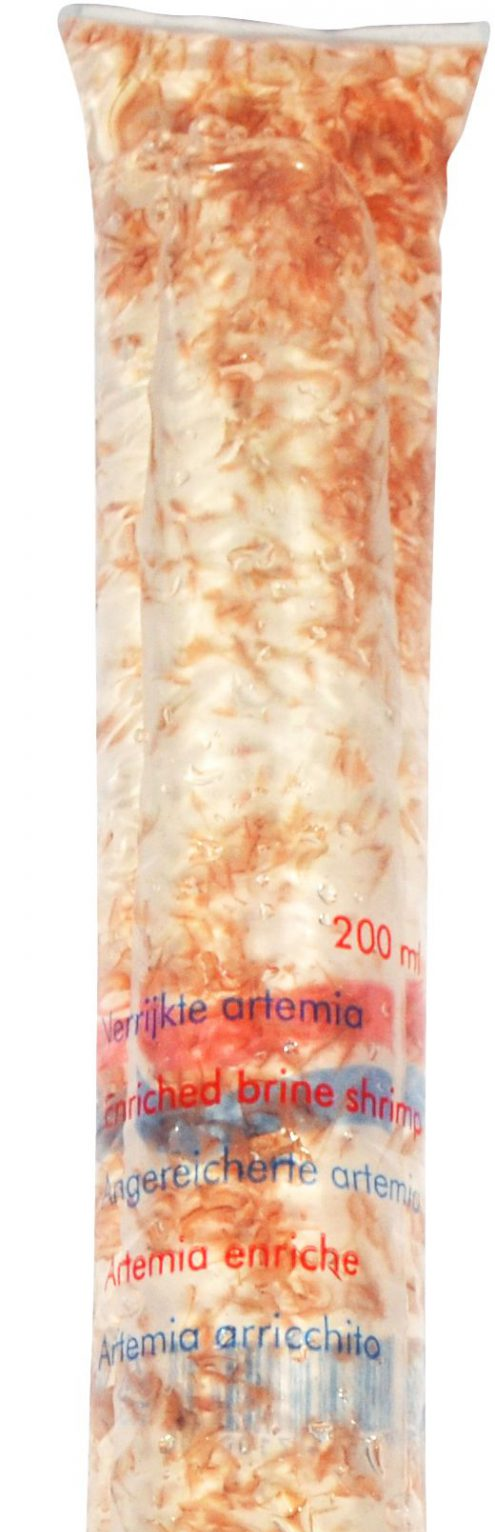 Artemia "Brine shrimp" - Enriched 200 mL