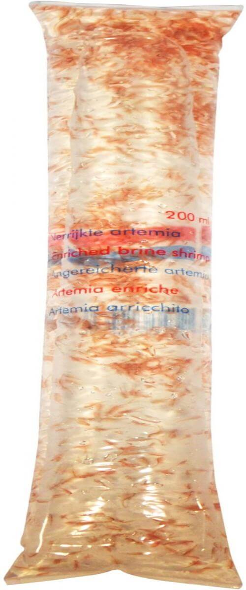 Artemia "Brine shrimp" - Enriched 200 mL