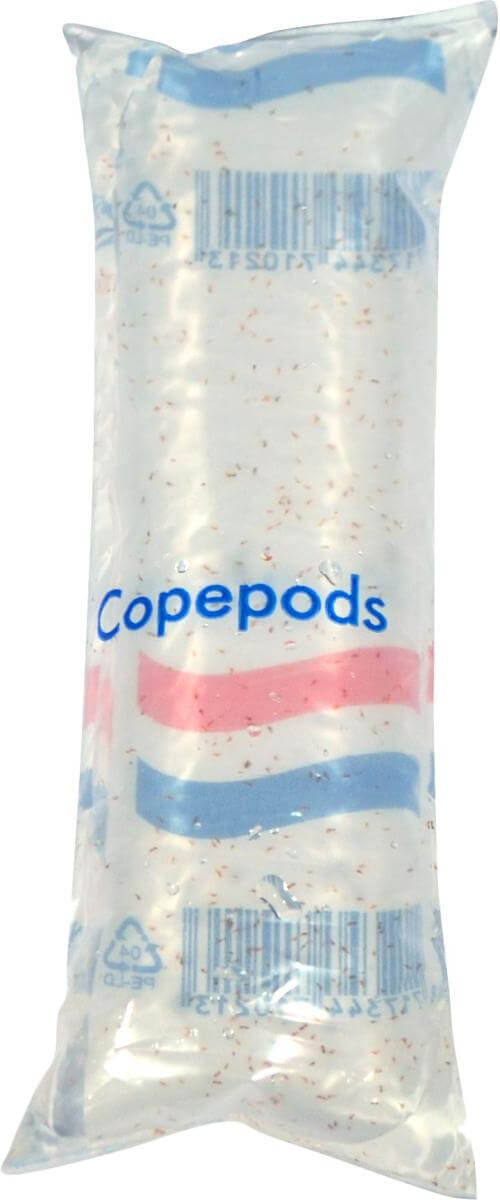 Copepods 100 mL