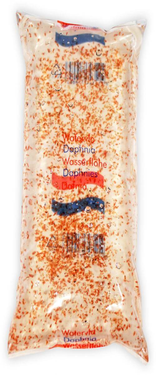 Daphnia 300 mL