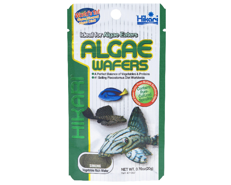 Hikari Algae Wafers 250g