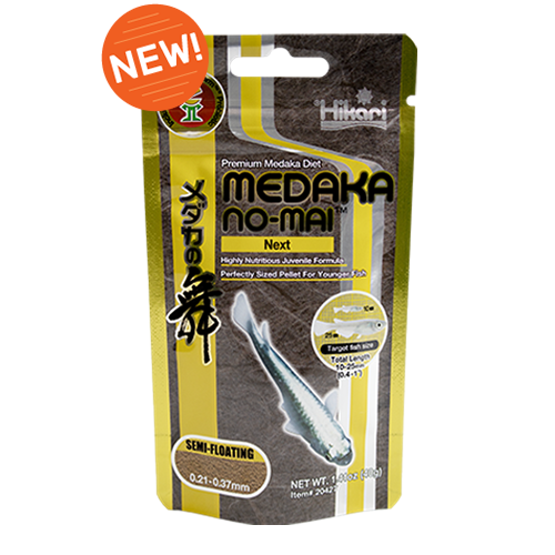Hikari Medaka no mai next