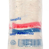 Nauplii - Baby brine shrimp 80 mL