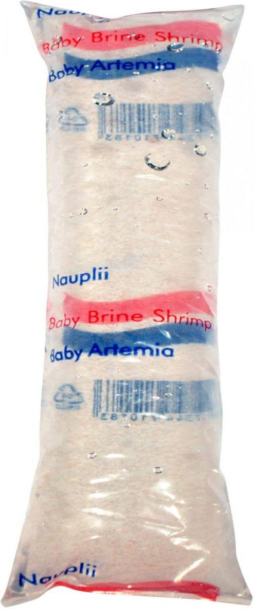 Nauplii - Baby brine shrimp 80 mL