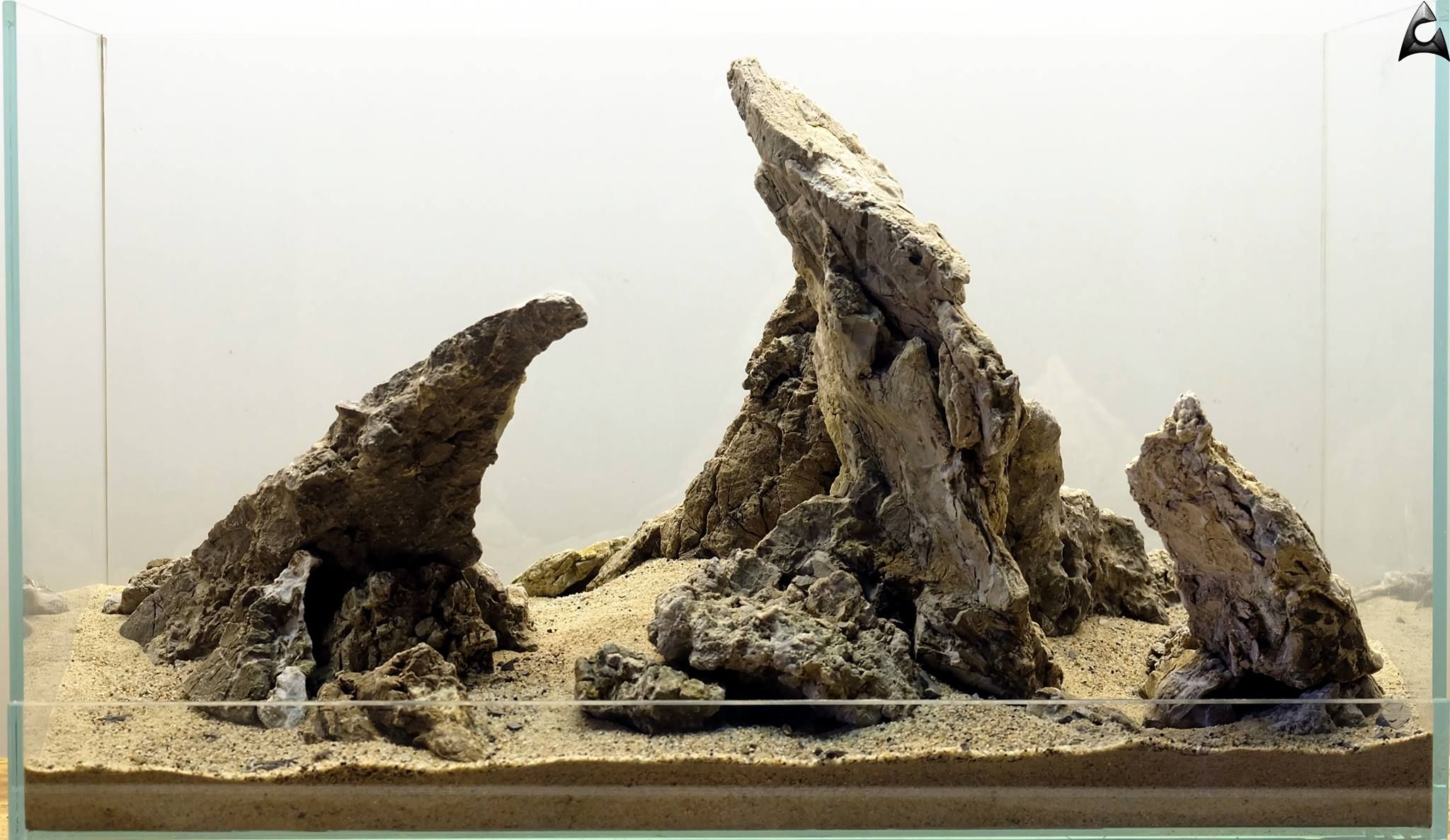 Aquascaping Mastery: Embracing the Rule of Thirds for Stunning Aquariums