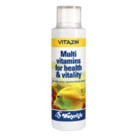 Vitazin - Multi-vitamin