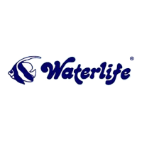 Water Life