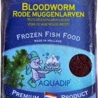 Bloodworm LARGE 500 gram Flatpack