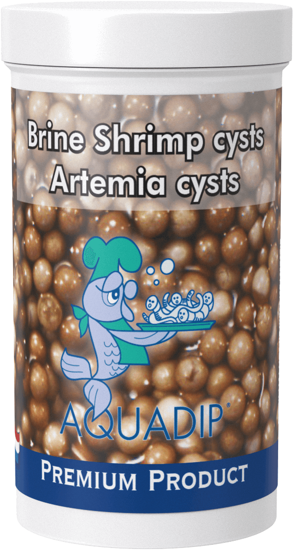 Artemia “Brine shrimp” cysts 6 gram plastic tub 10cc