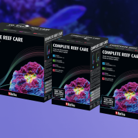 Complete 4-part Supplement Program