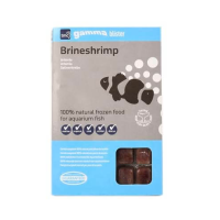 Gamma Brineshrimp Blister Pack 100g
