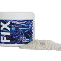 Accessories/Equipment