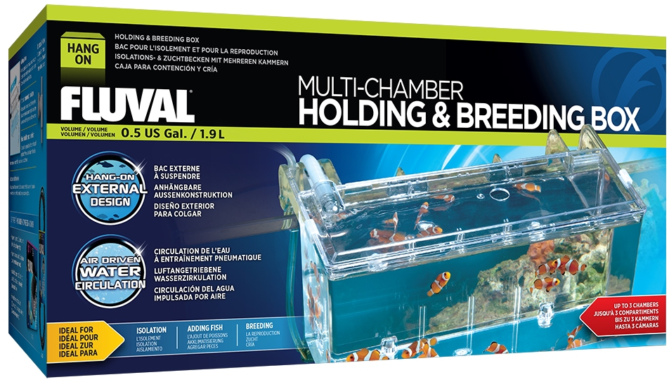 Multi-Chamber Holding & Breeding Box Large