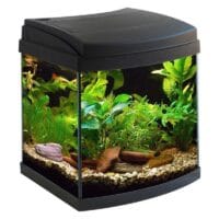 Aquarium Milo 30 LEDline Black R Vision