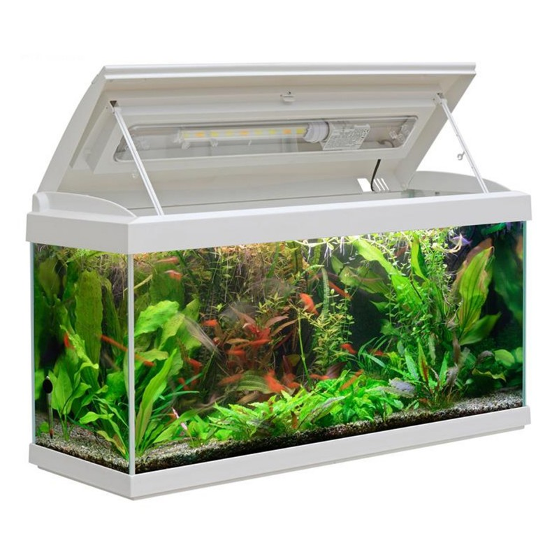 Aquarium Milo 80 LEDline White