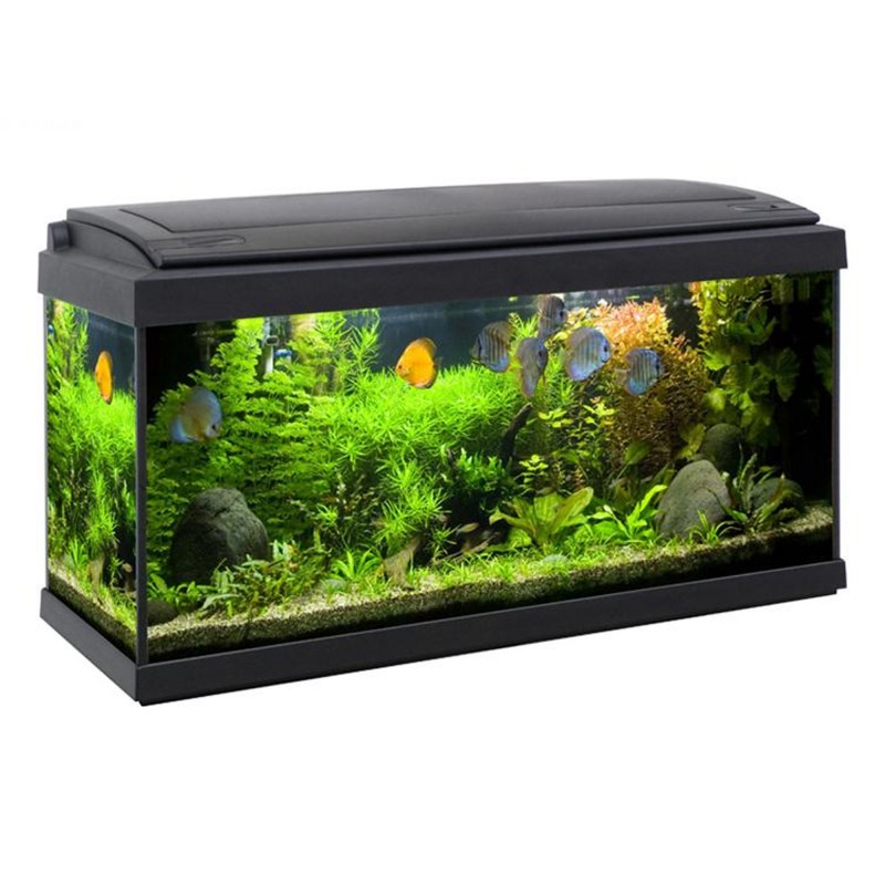 Aquarium Milo 80 LEDline Black