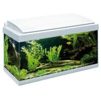 Aquarium Milo 60 LEDline White