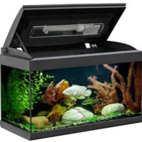 Aquarium Milo 60 LEDline Black