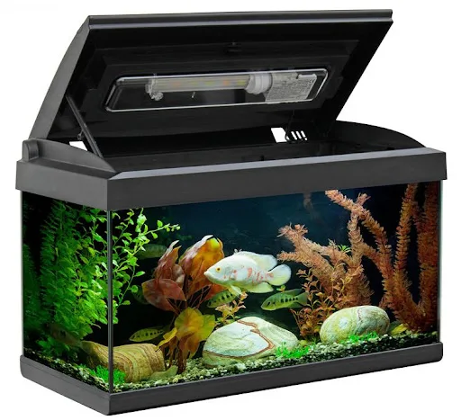 Aquarium Milo 60 LEDline Black