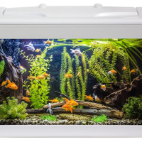 Aquarium Milo 43 LEDline White