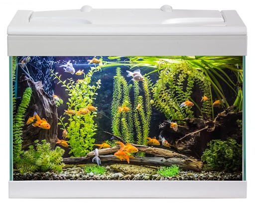Aquarium Milo 43 LEDline White