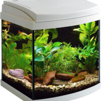 Aquarium Milo 30 LEDline White R Vision