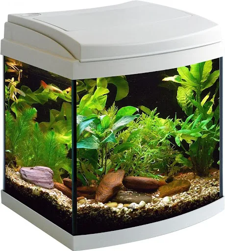 Aquarium Milo 30 LEDline White R Vision