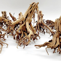 Etosha Tree – Natural Aquarium Driftwood M ( 15-25 cm )