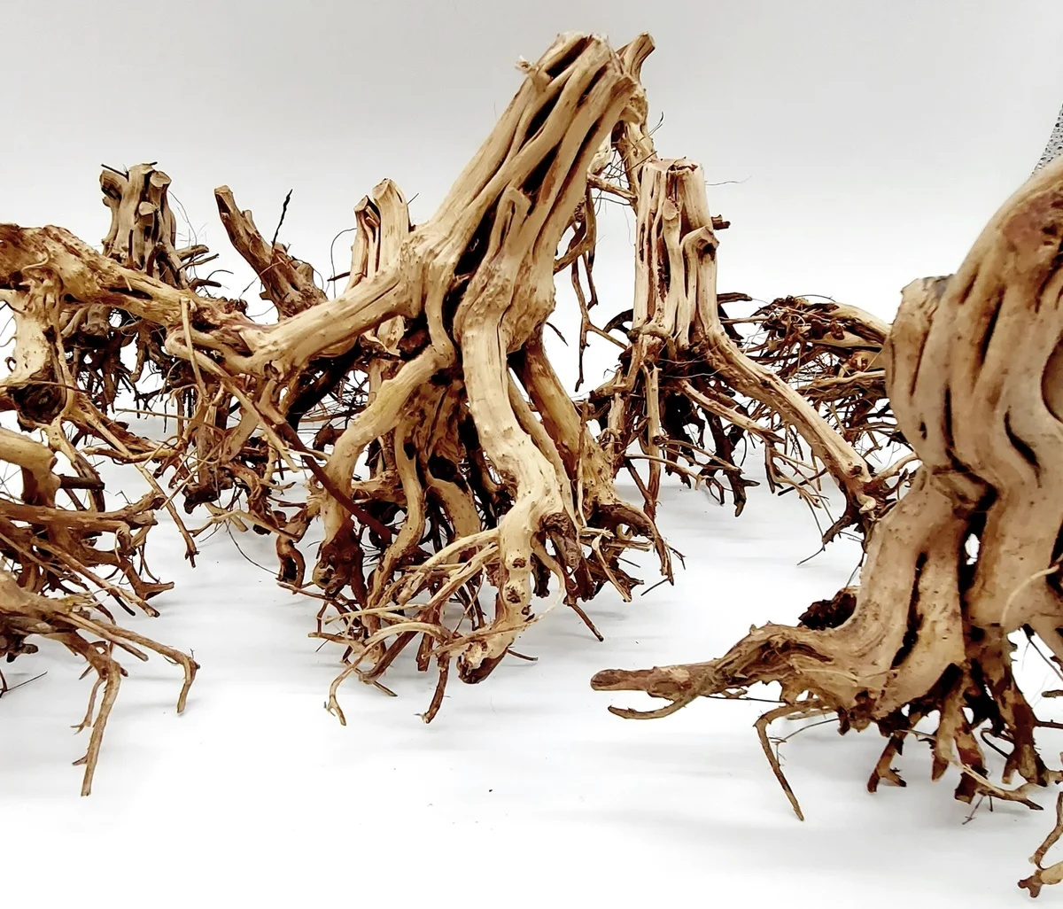 Etosha Tree – Natural Aquarium Driftwood M ( 15-25 cm )