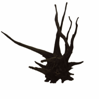 Corbo Root (XL) – 50-70 cm