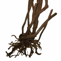 Wood Stump (60-150 cm)