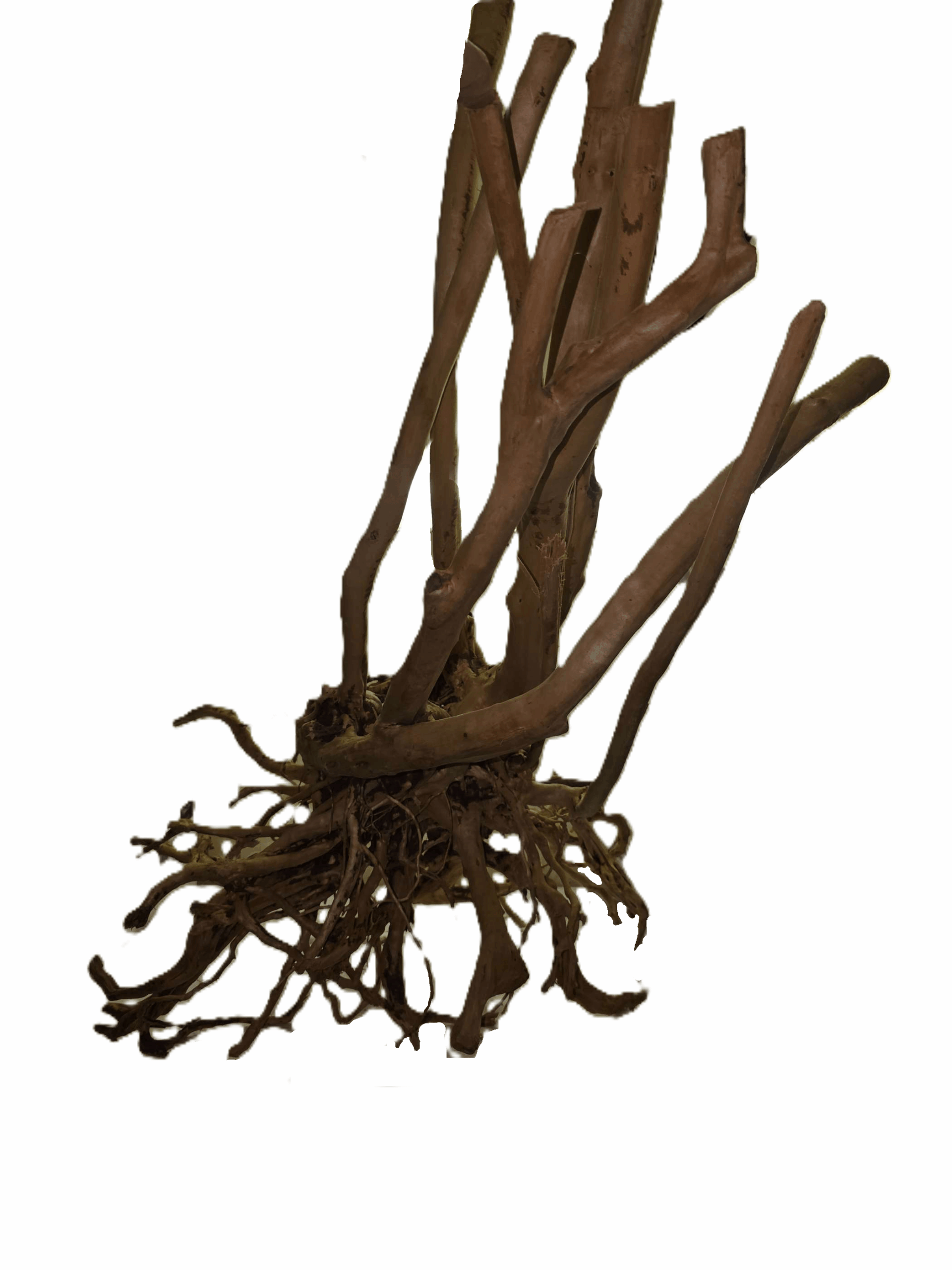 Wood Stump (60-150 cm)