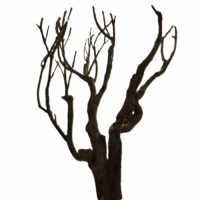 Talawa-Wood-L. ( 50-70cm )