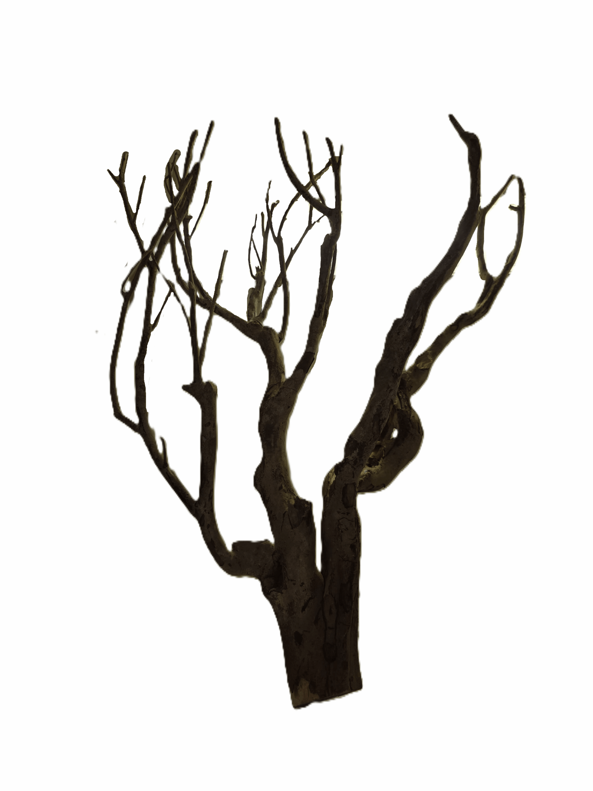 Talawa-Wood-L. ( 50-70cm )