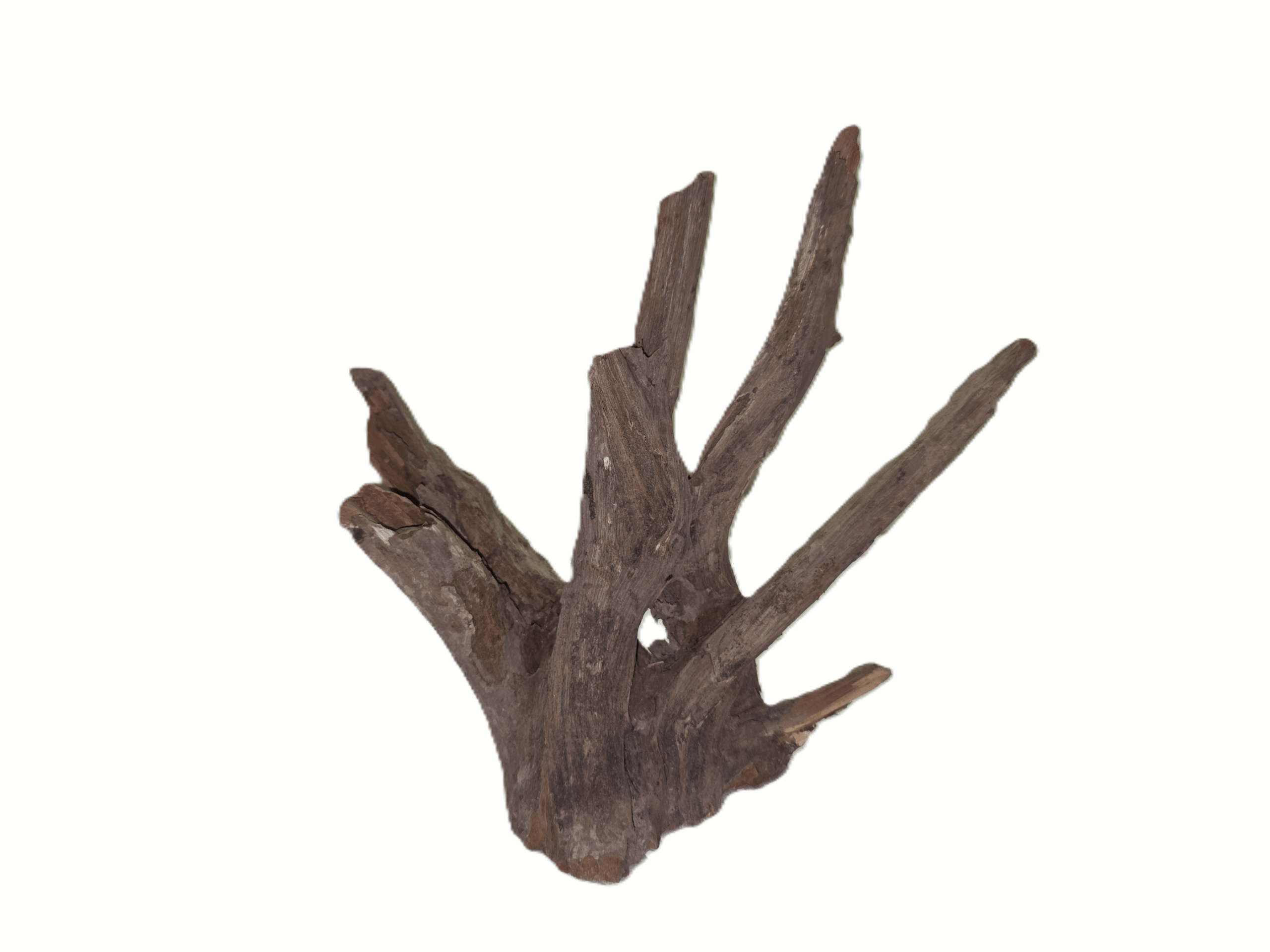 Black Slim Wood (M, 28-42 cm)