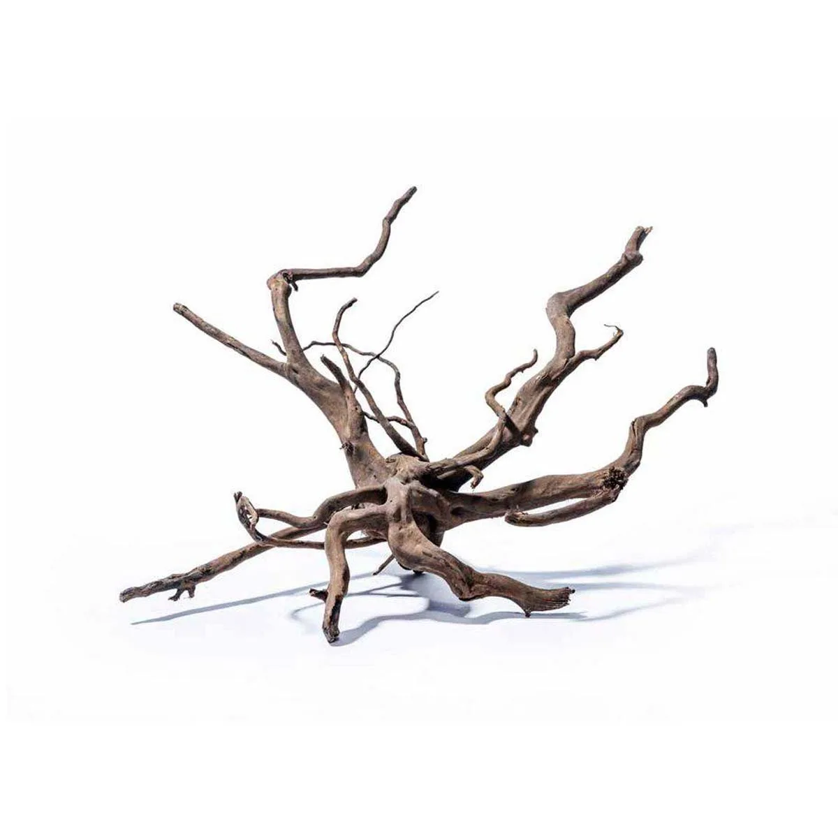 Dark Moor Wood (S) – 18-28 cm