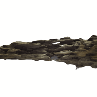 Dragon Wood, L