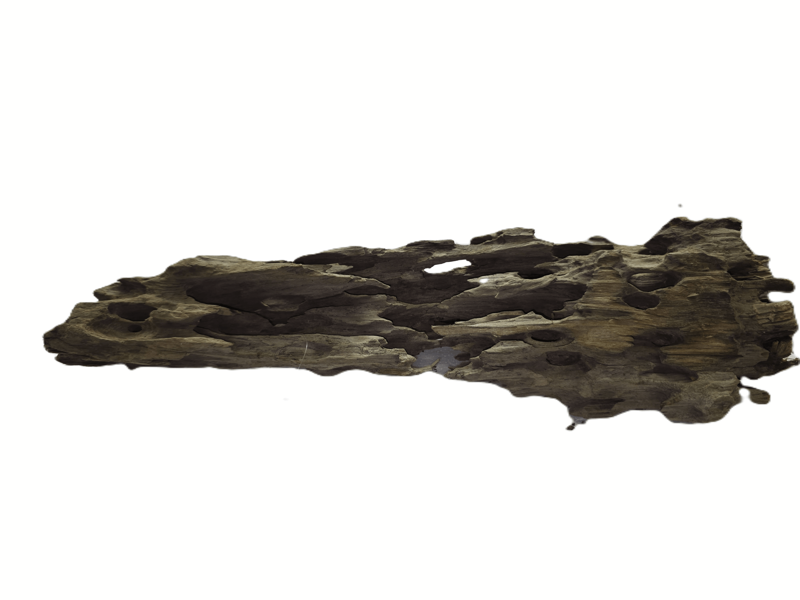 Dragon Wood, L