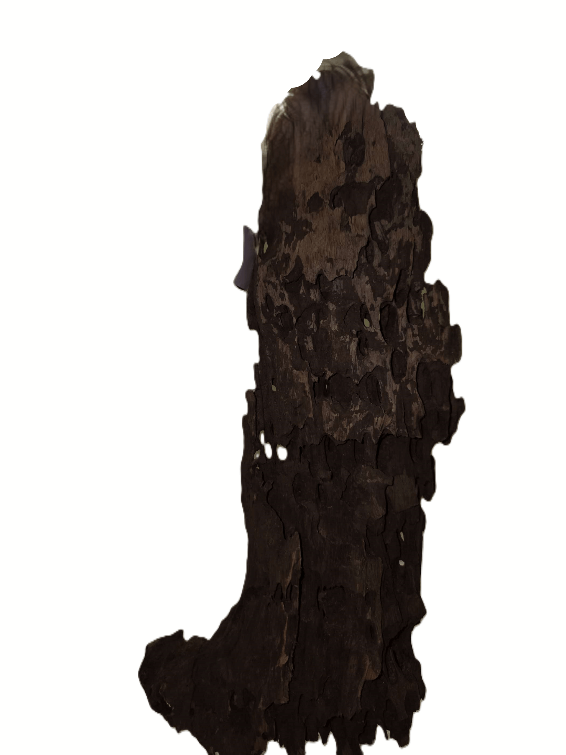 Dragon Wood, XL
