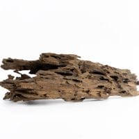 Dragon Wood (Medium Size) – Natural Aquarium Driftwood for Aquascaping