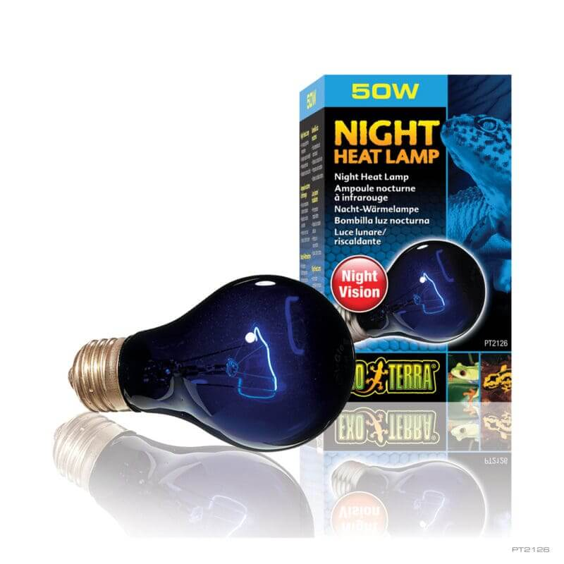 Exo Terra Night Glo Bulb 50W