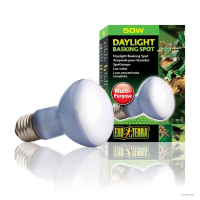 Exo Terra Day Glo Basking Spot Lamp 50W