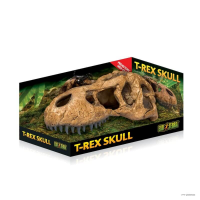 Exo Terra T-Rex Terra Skull