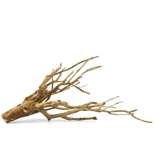 Talawa-Wood-M ( 30-45 cm )