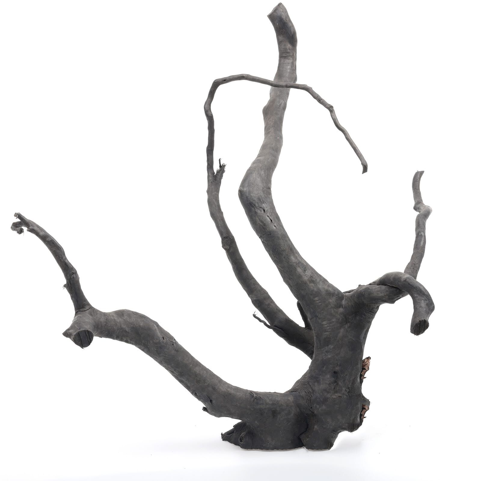Dark Moor Wood L (45–55 cm) – Natural Driftwood for Aquariums