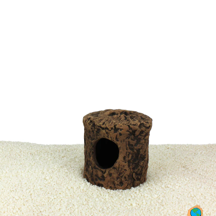 Cichlid cave Xs